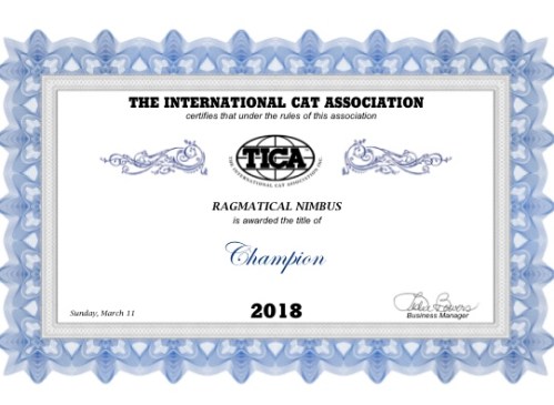 020FA280-57C5-454C-B030-76B1BD8F4140