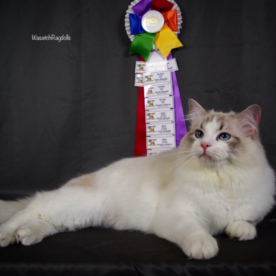 F19CD465-339C-4F44-AF8C-9082285E594F