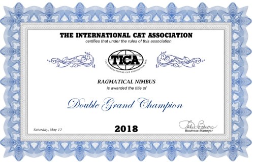 8723A55D-DAE8-4ABB-BAE4-EC095DB0DB83