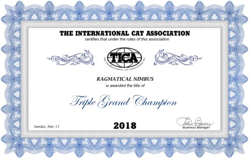 BE412CA2-4865-4978-A90C-B3F1818A9EF9