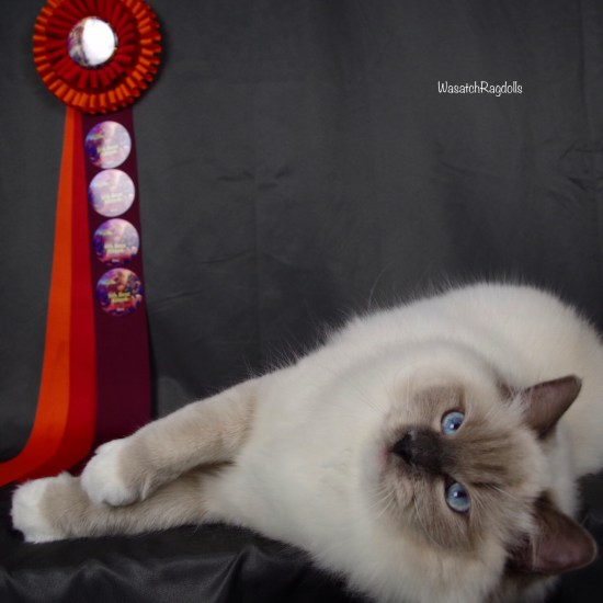 FA0E666D-CCBB-4449-A340-A141A6BDDA83