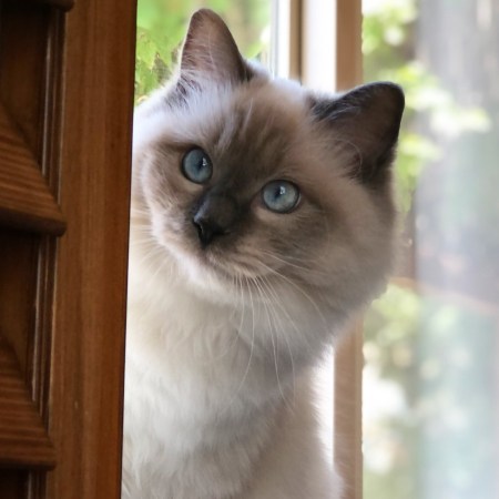 6F17EA4D-EF79-4C31-A28C-F78C9BBCE26A