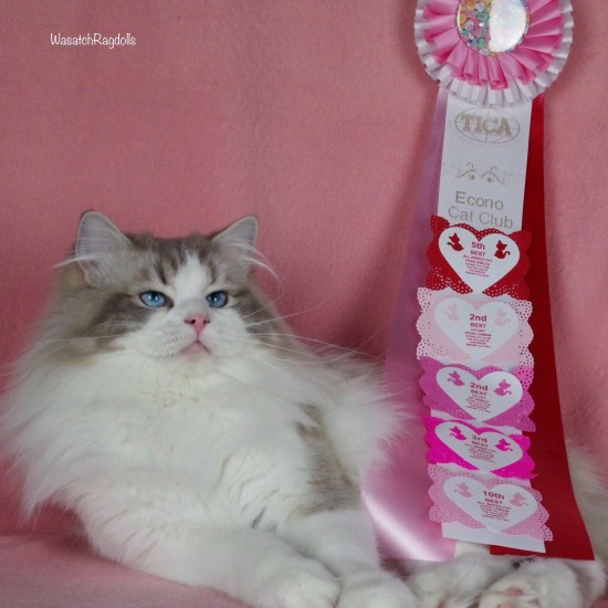 2165A0B3-C7AB-4789-9941-E0EBF2947F85