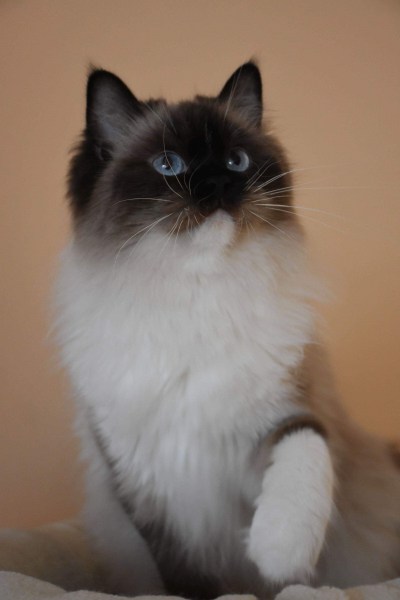 a541fe20-197b-4135-b699-28581a3c2b28