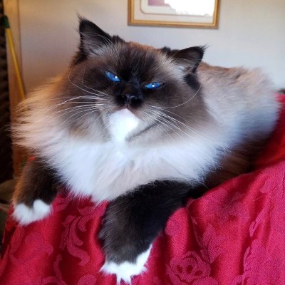 c5602e68-c311-49bd-95ac-d23496b26de5