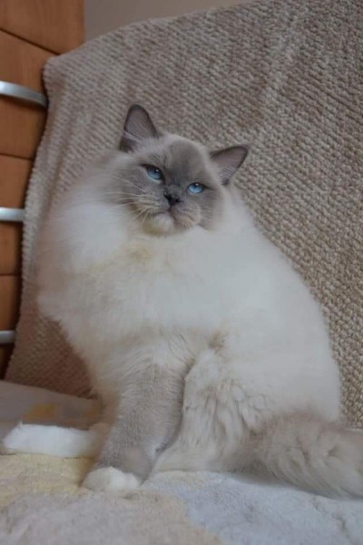 efe1f39f-2e7a-45b1-935a-d933fca266f0