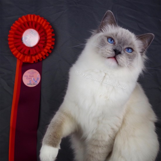 46296848-B7D2-4F98-859E-A298D908DBE7