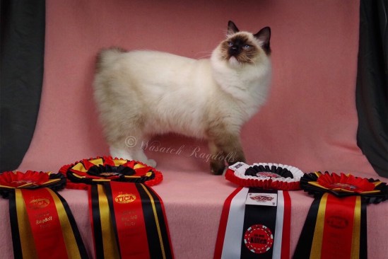 EF021C61-99FA-4C1E-BB55-354CB3396389