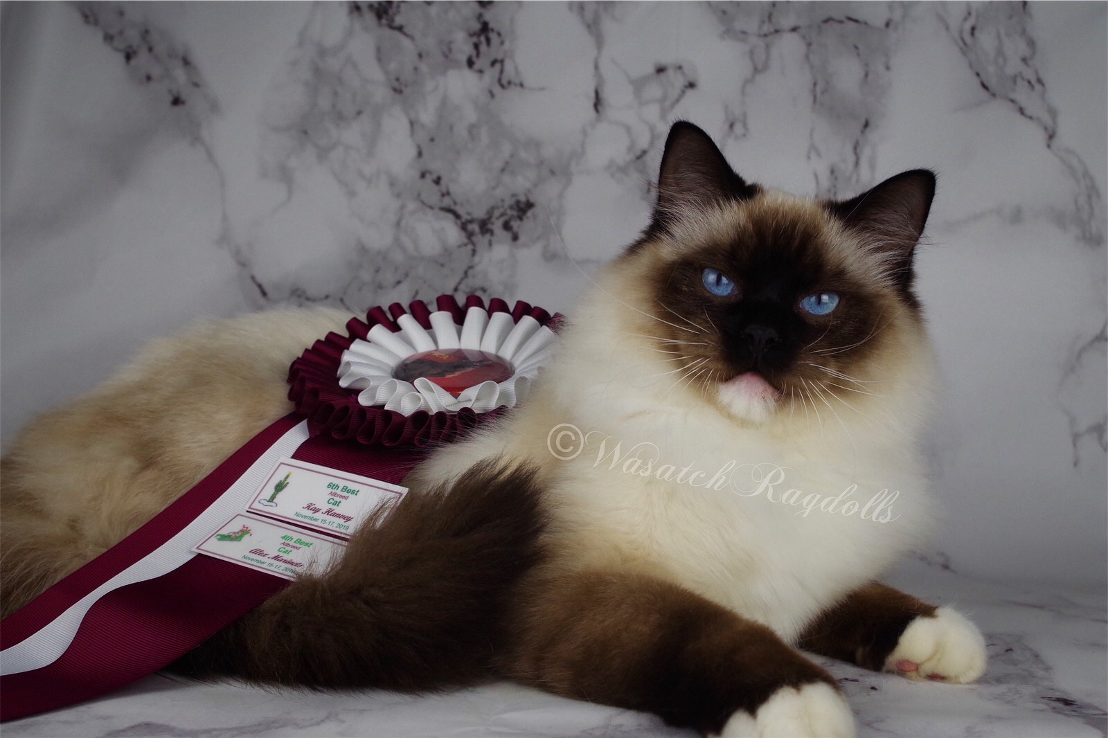 1419C964-C386-4511-8F40-A2A6CF440132