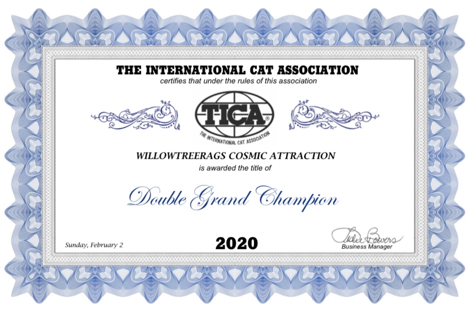 2DBF47C9-DCF2-4C15-AF47-A1C40C0BF5C0