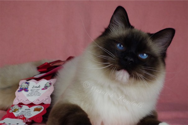 8E62B129-5EB8-4062-85A2-19B47FA945EC