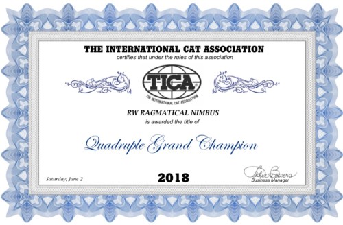 B713BC0C-A3EB-4D7B-99CB-FAB72596D677