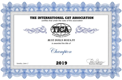 E8B27859-E618-4F7C-AA11-15645D024438