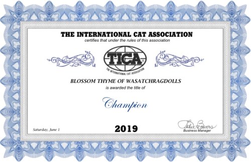 F4E59AEC-D1F6-46E3-9810-C18662F52C14